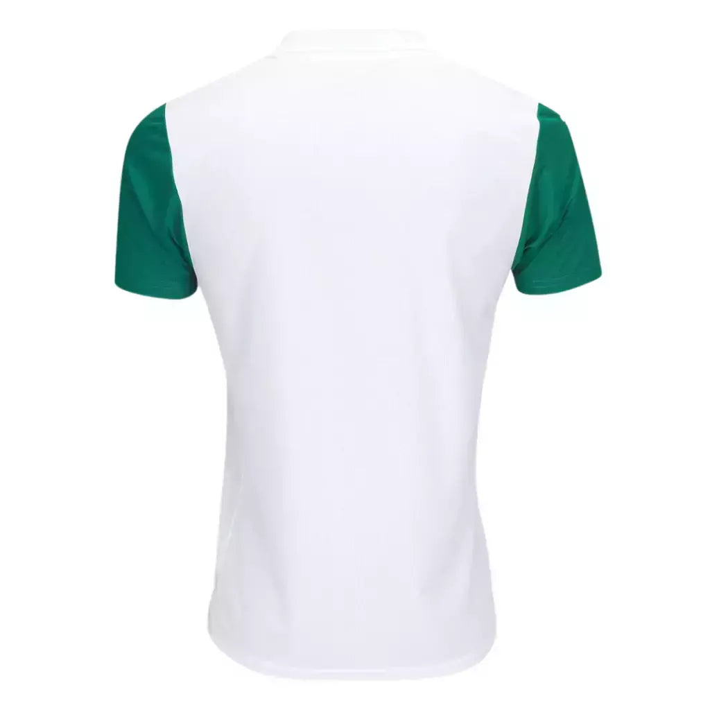 Camisa Torcedor Palmeiras II 25/26