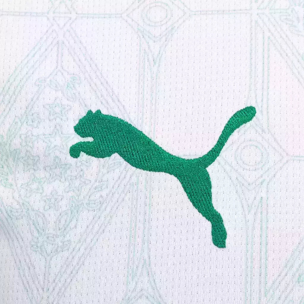 Camisa Torcedor Palmeiras II 25/26